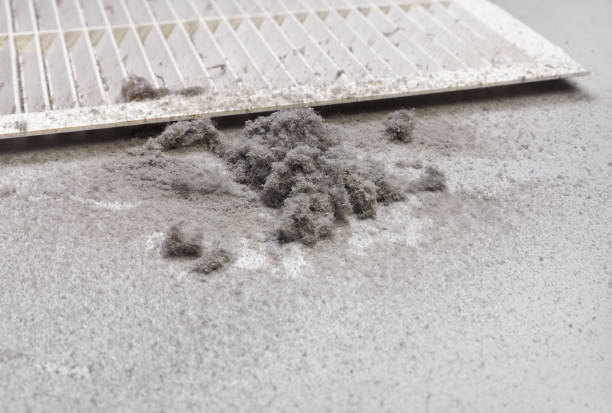 Best Air Duct Cleaning Near Me  in Carbon Cliff, IL