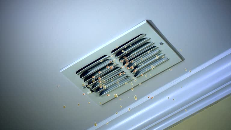 Best HVAC Duct Inspection Services  in Carbon Cliff, IL