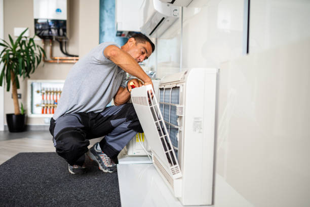 Best Air Vent Cleaning Services  in Carbon Cliff, IL