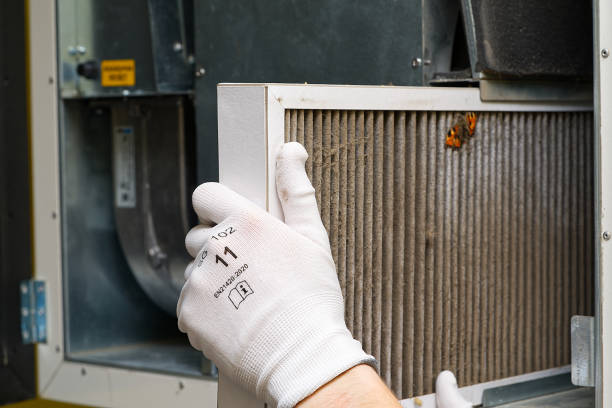 Best Air Duct Cleaning Company Near Me  in Carbon Cliff, IL