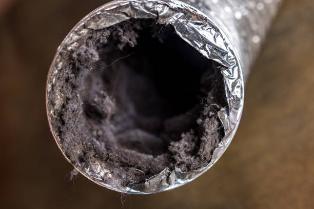Best Professional Duct Cleaning Services  in Carbon Cliff, IL