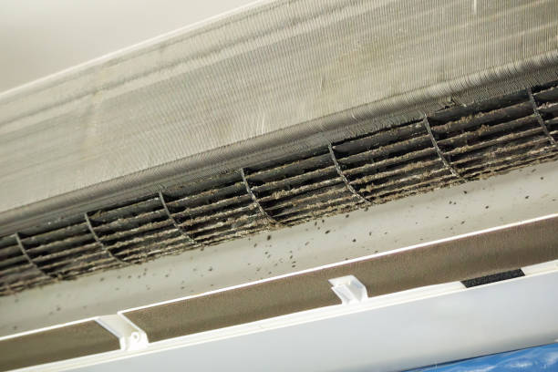 Best HVAC Air Duct Cleaning  in Carbon Cliff, IL